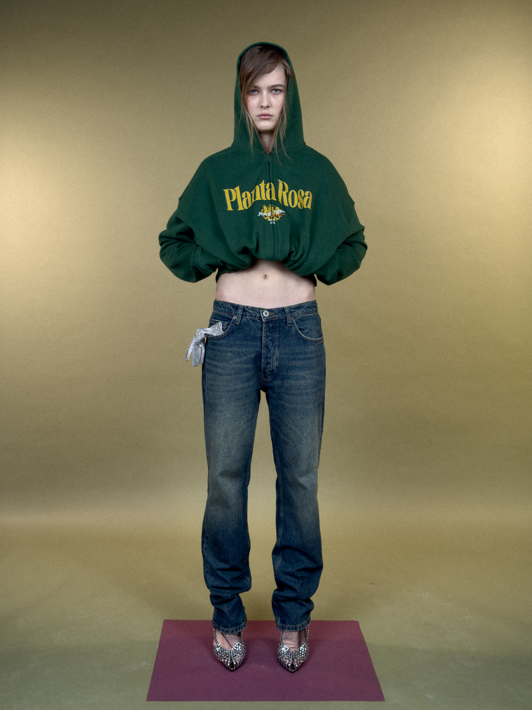 CLASSIC-BOLD ZIP HOODIE